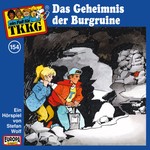Cover: Das Geheimnis der Burgruine