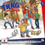 Cover: Zwischen Gauklern & Ganoven